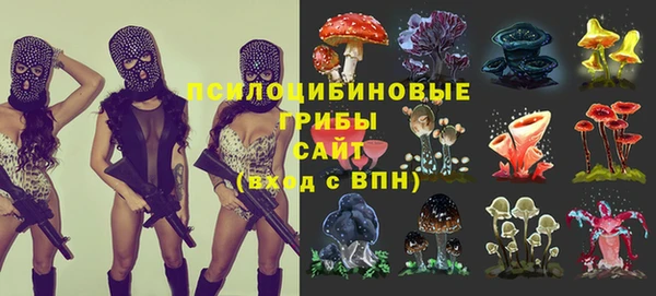 мяу мяу мука Пересвет