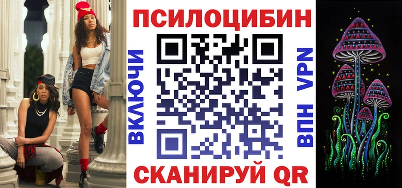 Псилоцибиновые грибы Psilocybine cubensis  Славянск-на-Кубани 
