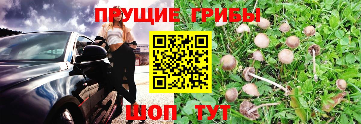 Галлюциногенные грибы мухоморы Славянск-на-Кубани