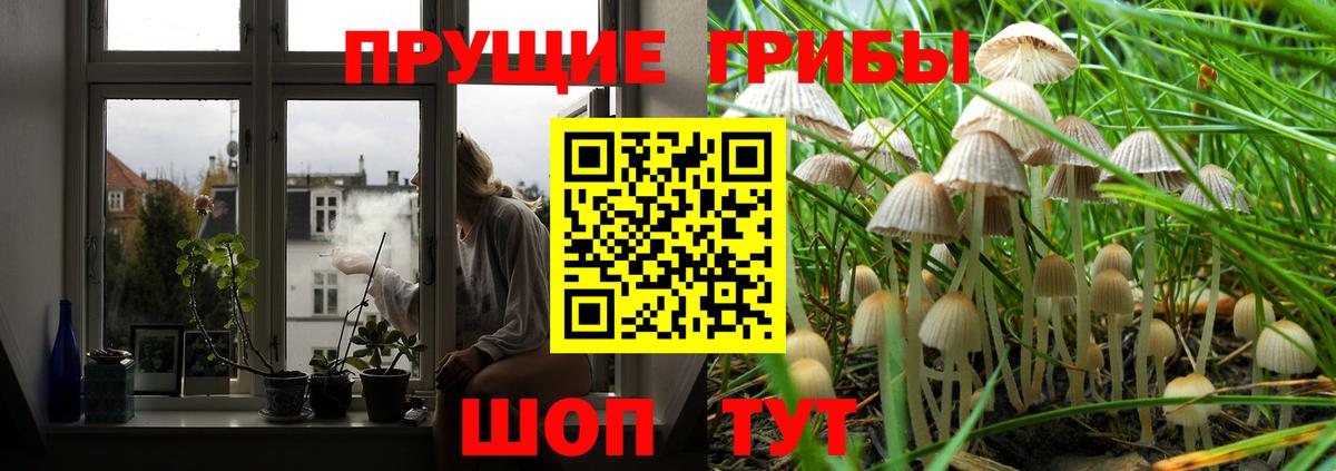 Галлюциногенные грибы мицелий  Галлюциногенные грибы ЛСД  Вход с VPN  Славянск-на-Кубани 